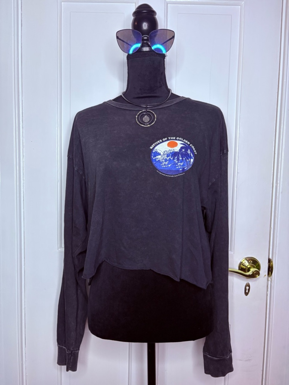 PacSun Long Sleeve Crop Top